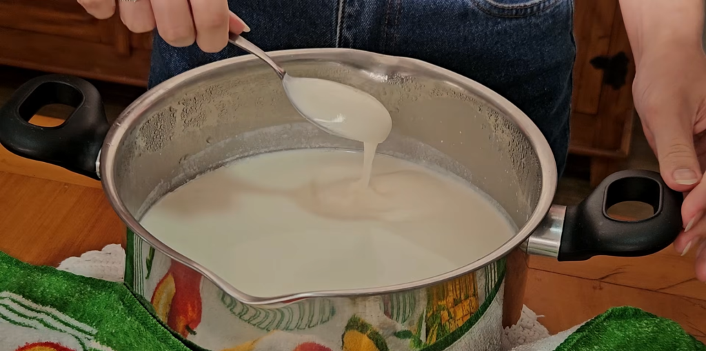 Homemade Yogurt Recipe by Ansoen