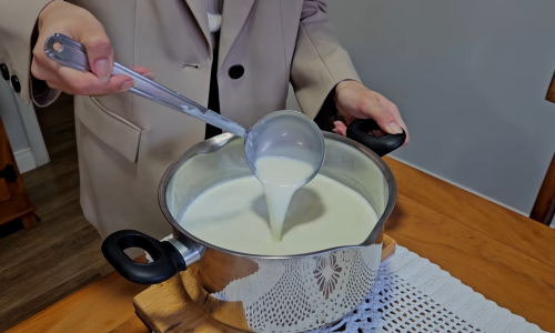 Homemade Yogurt Recipe